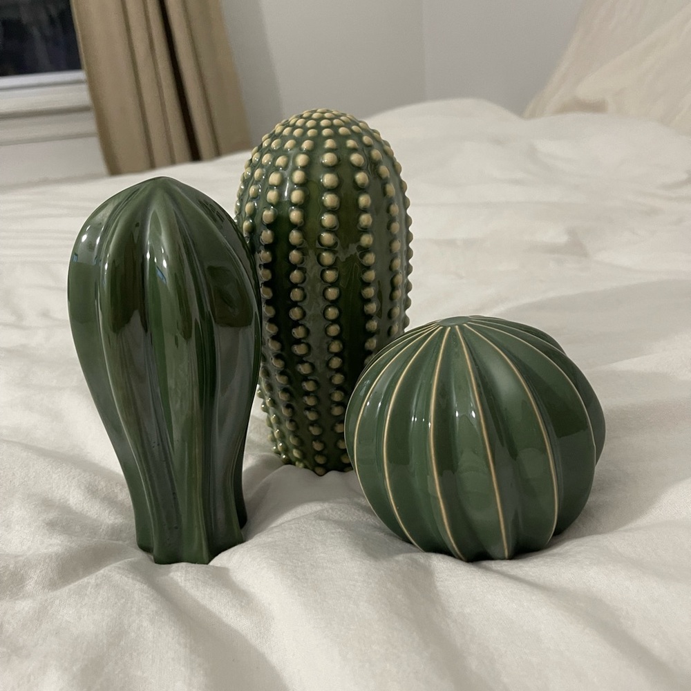 Cactus- HOME DECOR IKEA